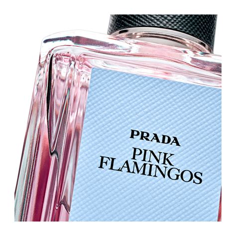 prada parfum pink flamingo|Pink Flamingos Prada perfume .